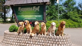 U Wurftreffen 2019 Nr 5